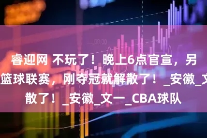 睿迎网 不玩了！晚上6点官宣，另一队退出中国篮球联赛，刚夺冠就解散了！_安徽_文一_CBA球队